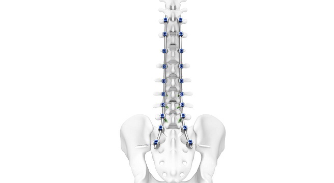 Bone Science & Functions, DePuy Synthes